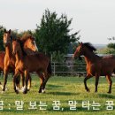 비서재준