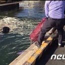 경남오트바이