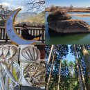 여로수산 이미지