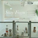 포근(FOGN) 이미지