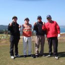 드비취일 이미지