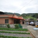 누리민박 이미지