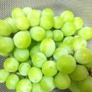 엘로우시티장성로컬푸드직매장 이미지