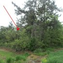 대진보건진료소 이미지