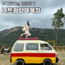 대신목장 | 나트랑 판랑사막투어 양떼목장 복장 및 흐린날 후기