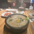 1만 596회째 봄(春)