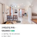 서우타운펜션 | [제주/숙소] 물고기 독채펜션