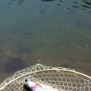 화도낚시터 이미지