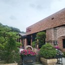 카페델피노 인근 이미지