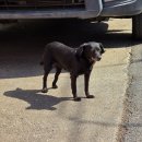 소문난식당 | 문래동 소문난식당, 맛집 4년만 재방문 후기, 혼밥, 영업시간