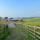 고창농원 이미지