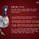 스킨케어OiC
