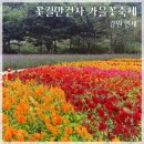 2024 강원도 인제 가을꽃축제 꽃길만걷자 개화현황, 정보, 먹거리