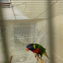 인천조류원 이미지