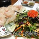 완도 밤야식 이미지