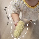 장금이네 | 농라에프 | 농라 | 옥수수 맛집 | 장금이네 옥수수 후기