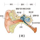 귀일지 이미지