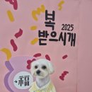 꾸미멍 이미지