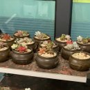 등촌샤브칼국수신방점 | 언제먹어도 맛있는 등촌샤브칼국수 천안신방점 다녀왔어요!