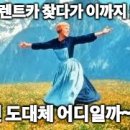 대영렌트카 이미지