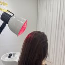 플란트열 이미지