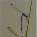 달맞이 펜션 이미지