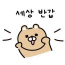 쉐이크테일