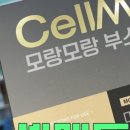 셀메드 오늘약국 이미지