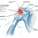 엑스(x)휘트니스 이미지
