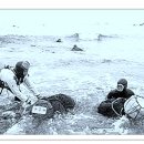 나영상사 이미지