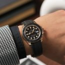 에버로즈 이미지