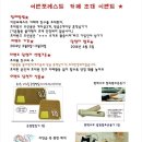 어반포레스트카페 이미지