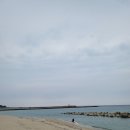 고바우상회 이미지