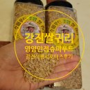 조양플라스틱