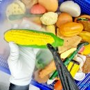 삼성그린유치원 이미지