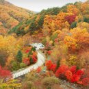 &#34;여기 다녀온 분들, 다들 재방문해요&#34; 시니어 가을 인기 1순위 자연휴양림 이미지