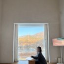 스테이비롯풀빌라 감성독채 펜션 | 옥천 자쿠지 있는 감성숙소 스테이비롯 내돈내산 후기