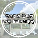 도그펜션 | 가평애견동반펜션 가평군숙소 반려견과 함께한 여름휴가 가평 도그버디펜션 후기