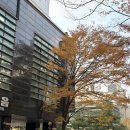 리젠에스테틱 - 김해시 | 에스테티아 평촌 : 안양피부관리 에스테틱 물광 관리 더마리젠 추천 후기