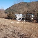 영월행정사사무소 이미지