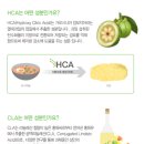슬림팩 이미지