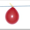 장미페인트 Daum카페