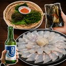부산 광안리 횟집 진미횟집 내돈내산 솔직후기