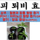 정상퇴비 이미지