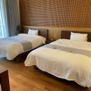 호텔 마에스트로 이미지