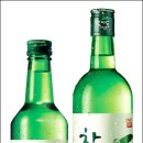 심술 Daum카페