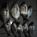 신노량2 이미지