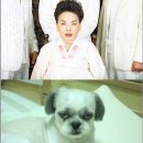 또또치킨