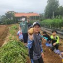 용인대 덕양 태권도장 이미지