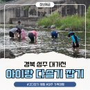 성주고등학교 | 성주 대가천 아이랑 고디잡기, 이 정도면 다슬기씨를 뿌려놓은 줄